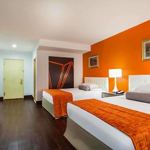 Queen Room Two Queen Beds Smoking